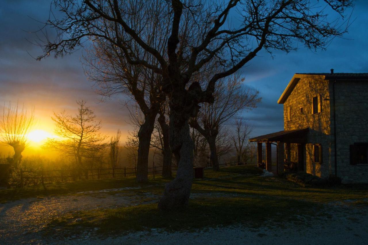 Fattoria Bio L'A Ceccoli Villa Sasso Feltrio Dış mekan fotoğraf