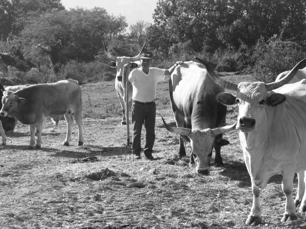 Fattoria Bio L'A Ceccoli Villa Sasso Feltrio Dış mekan fotoğraf