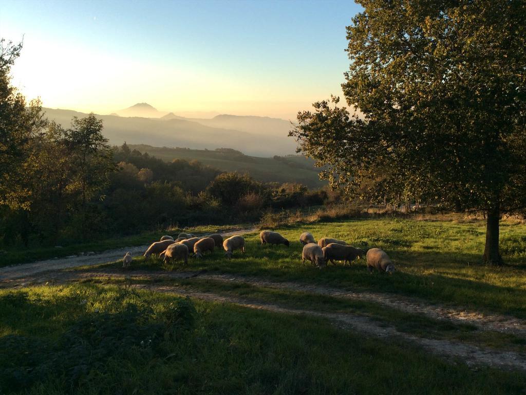 Fattoria Bio L'A Ceccoli Villa Sasso Feltrio Dış mekan fotoğraf