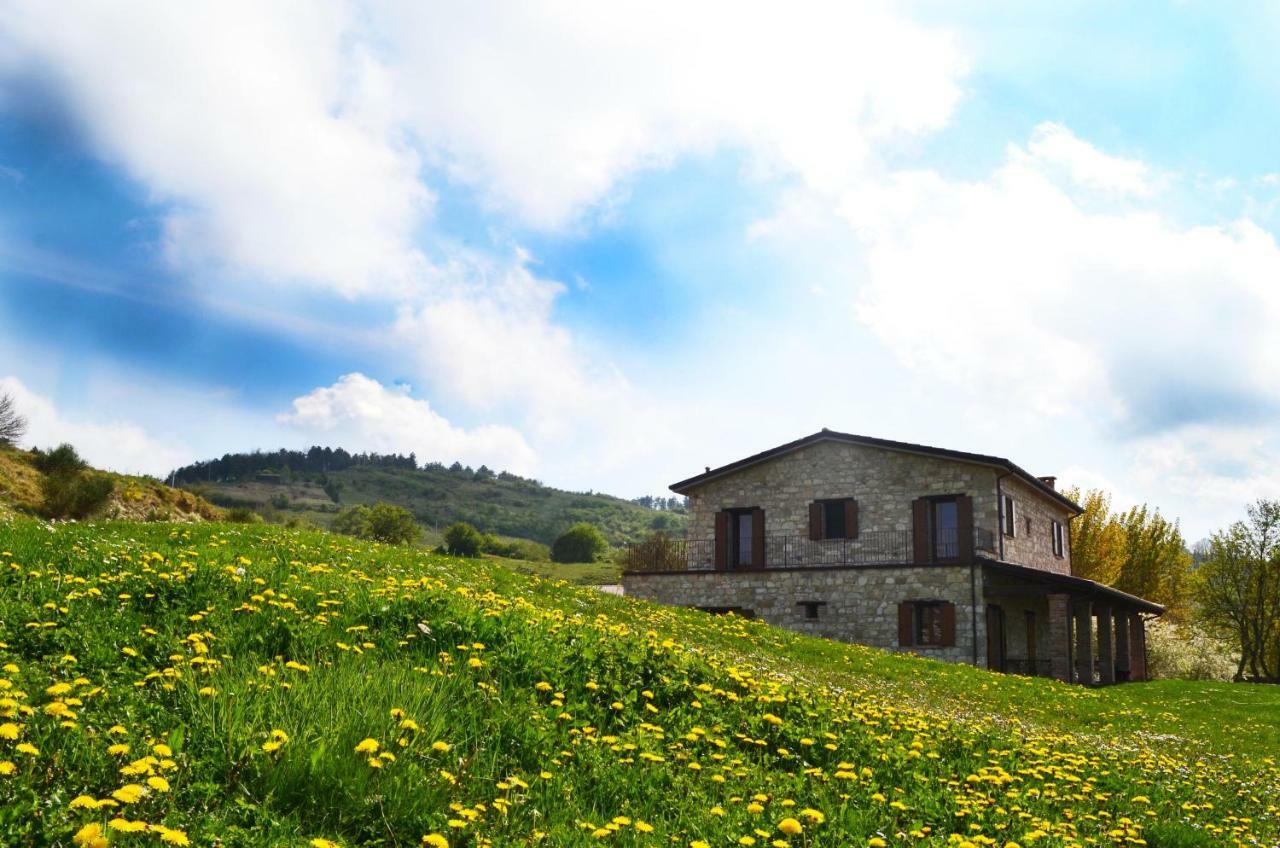 Fattoria Bio L'A Ceccoli Villa Sasso Feltrio Dış mekan fotoğraf