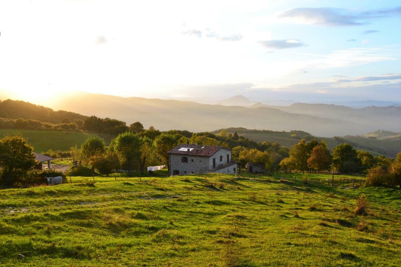 Fattoria Bio L'A Ceccoli Villa Sasso Feltrio Dış mekan fotoğraf